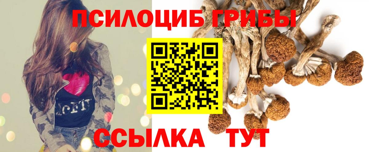 Псилоцибиновые грибы Psilocybine cubensis  Галлюциногенные грибы мухоморы  Торжок  Вход с VPN 