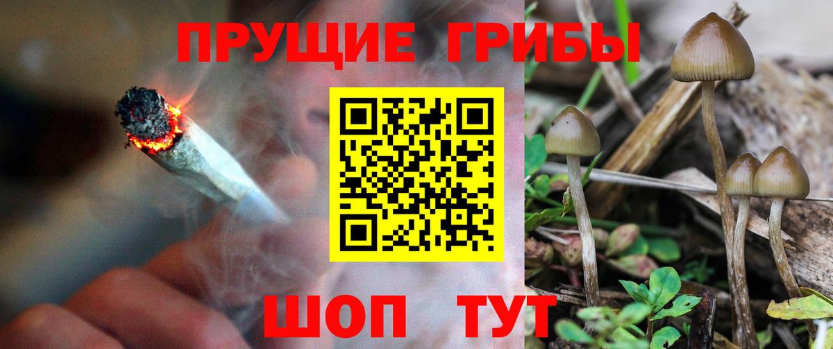 Галлюциногенные грибы прущие грибы Торжок